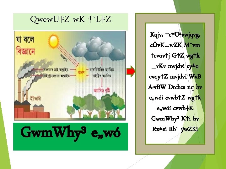 Qwew. U‡Z w. K †`L‡Z cv‡”Qv? Gwm. Why³ e„wó Kqjv, †c‡Uªvwjqvg, cÖv. K…w. ZK