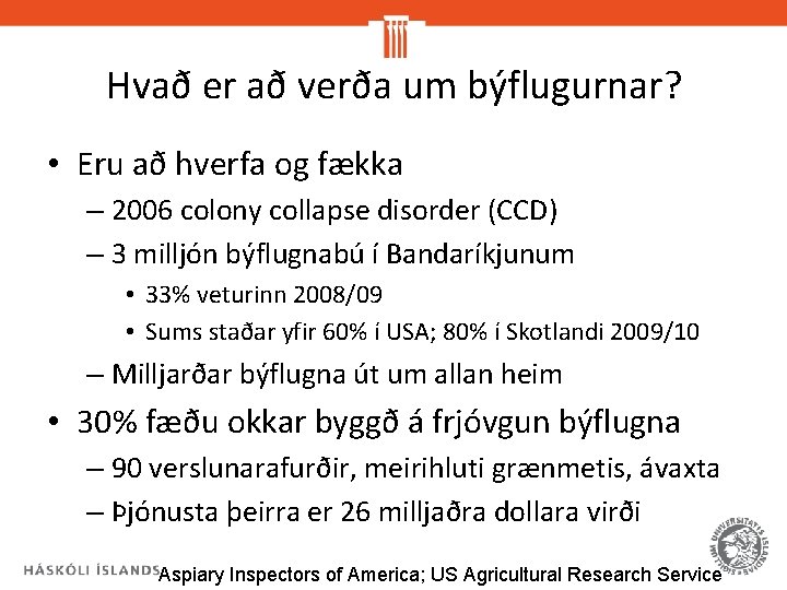 Hvað er að verða um býflugurnar? • Eru að hverfa og fækka – 2006