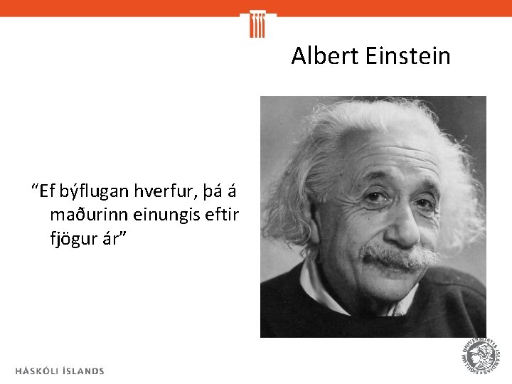 Albert Einstein “Ef býflugan hverfur, þá á maðurinn einungis eftir fjögur ár” 