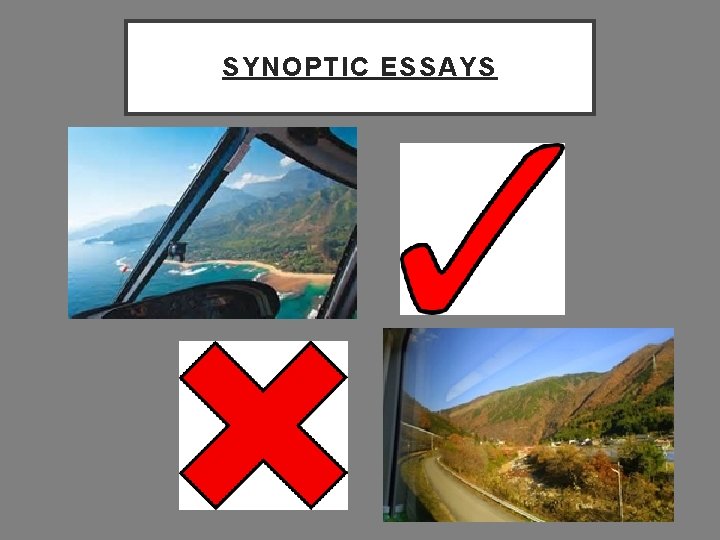 SYNOPTIC ESSAYS 