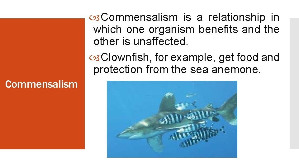  Commensalism is a relationship in which one organism benefits and the other is