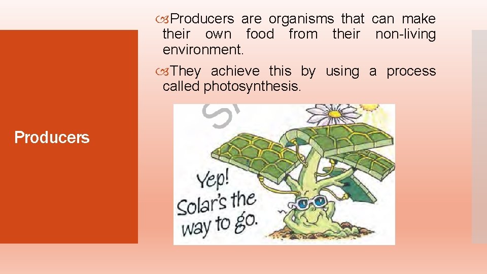  Producers are organisms that can make their own food from their non-living environment.