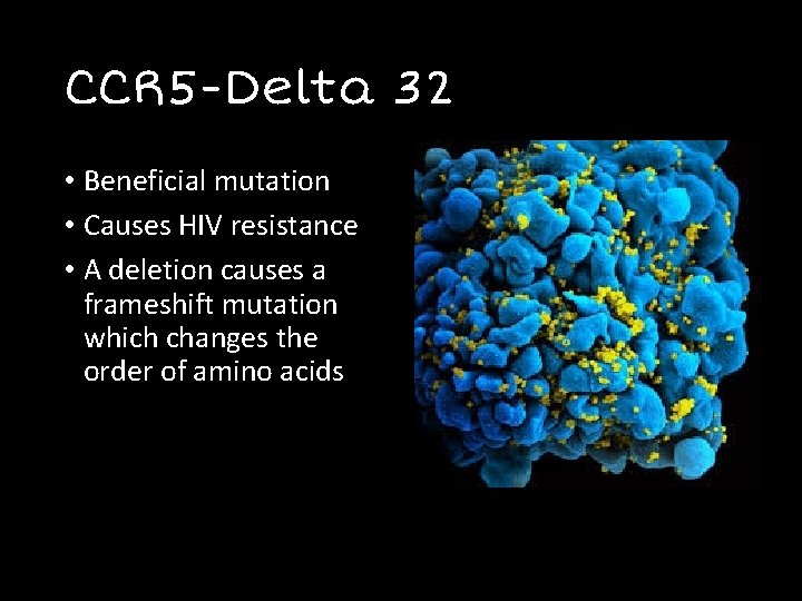 CCR 5 -Delta 32 • Beneficial mutation • Causes HIV resistance • A deletion