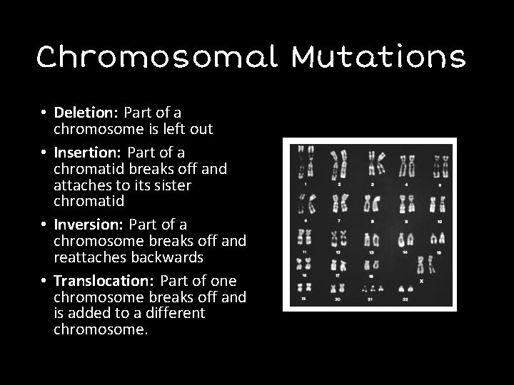 Chromosomal Mutations • Deletion: Part of a chromosome is left out • Insertion: Part