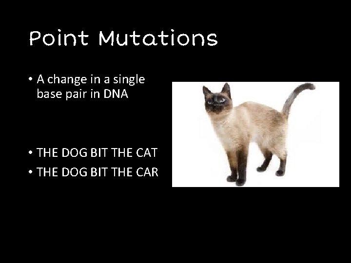Point Mutations • A change in a single base pair in DNA • THE