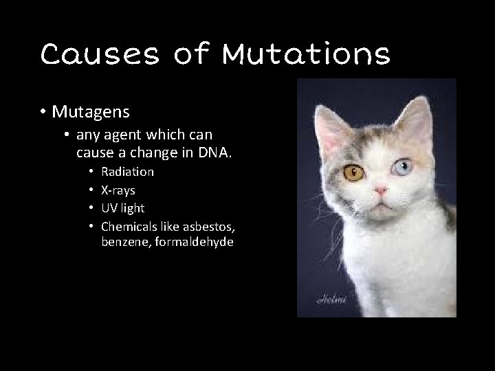 Causes of Mutations • Mutagens • any agent which can cause a change in