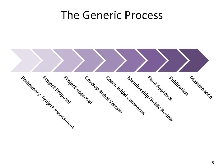 The Generic Process Pr el im in ar y Pr oj ec t. P