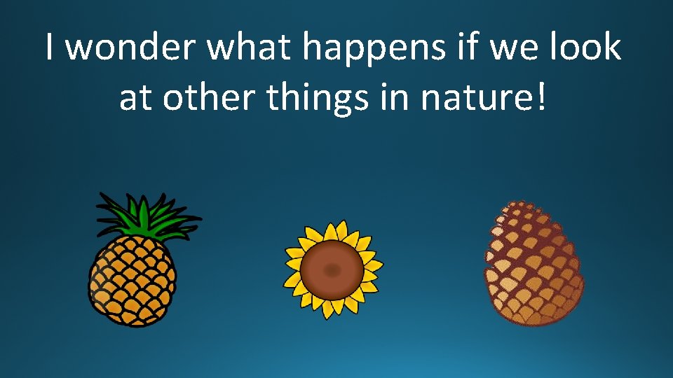 I wonder what happens if we look at other things in nature! 
