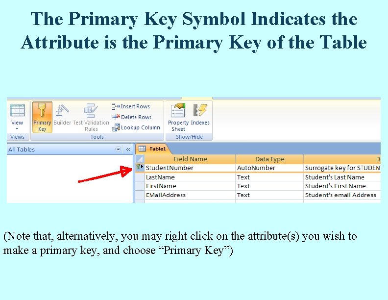 The Primary Key Symbol Indicates the Attribute is the Primary Key of the Table The Primary Key Symbol Indicates the Attribute is the Primary Key of the Table