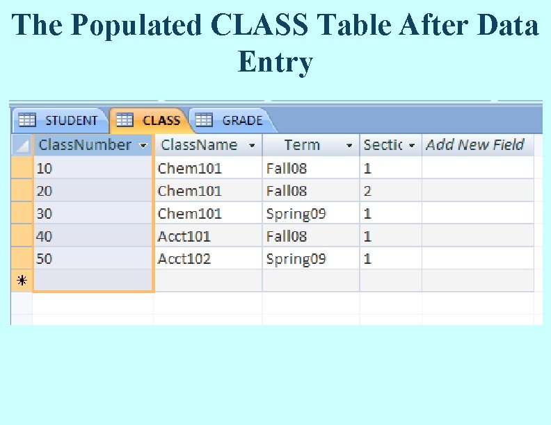 The Populated CLASS Table After Data Entry The Populated CLASS Table After Data Entry
