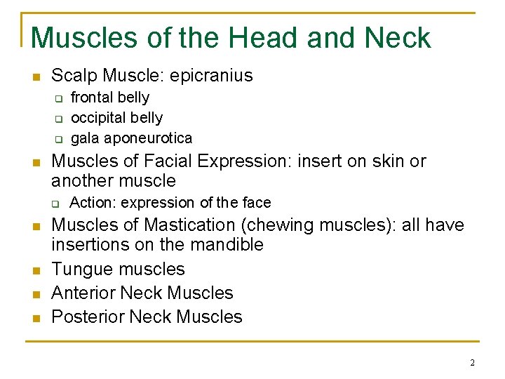 Muscles of the Head and Neck n Scalp Muscle: epicranius q q q n