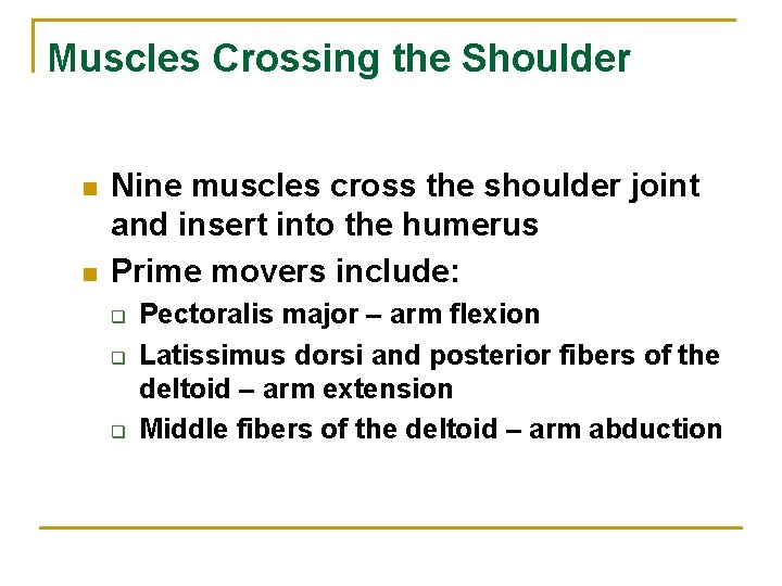 Muscles Crossing the Shoulder n n Nine muscles cross the shoulder joint and insert