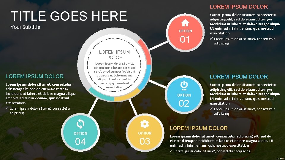 LOREM IPSUM DOLOR TITLE GOES HERE Your Subtitle OPTION 01 Lorem ipsum dolor sit