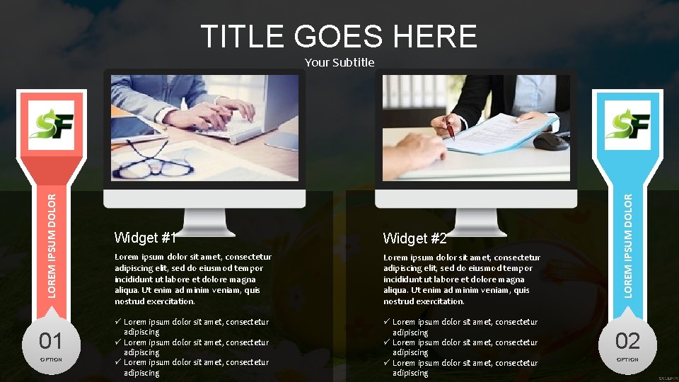 TITLE GOES HERE 01 OPTION Widget #1 Widget #2 Lorem ipsum dolor sit amet,