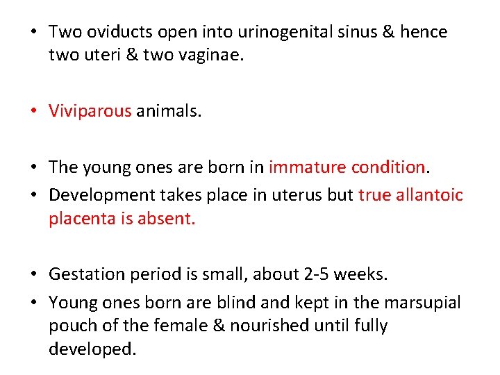  • Two oviducts open into urinogenital sinus & hence two uteri & two