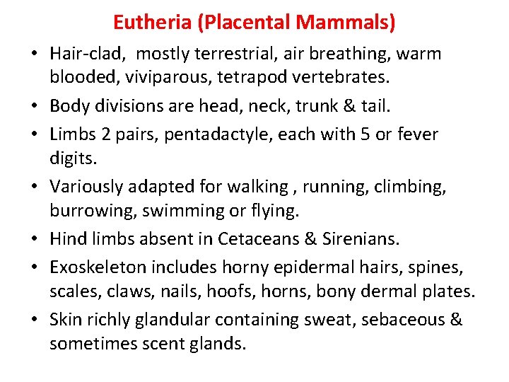 Eutheria (Placental Mammals) • Hair-clad, mostly terrestrial, air breathing, warm blooded, viviparous, tetrapod vertebrates.