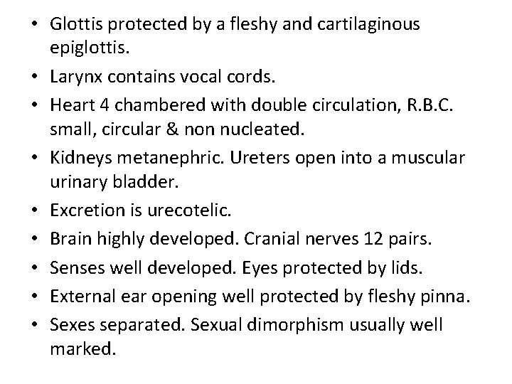  • Glottis protected by a fleshy and cartilaginous epiglottis. • Larynx contains vocal