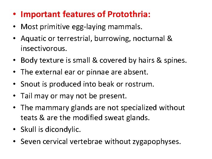  • Important features of Protothria: • Most primitive egg-laying mammals. • Aquatic or