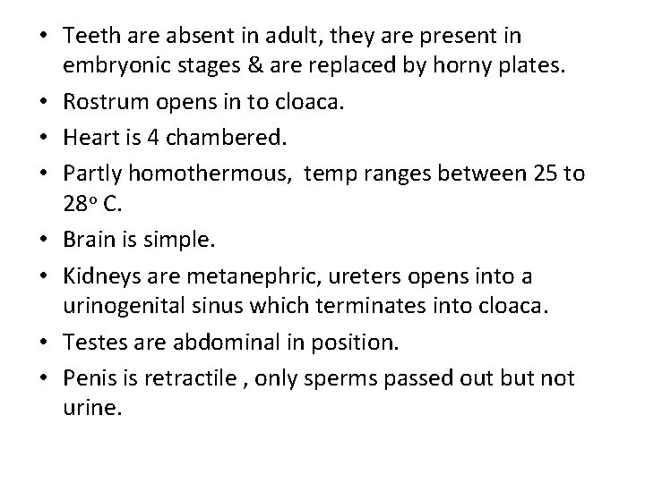  • Teeth are absent in adult, they are present in embryonic stages &