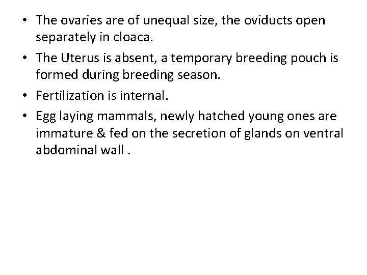  • The ovaries are of unequal size, the oviducts open separately in cloaca.
