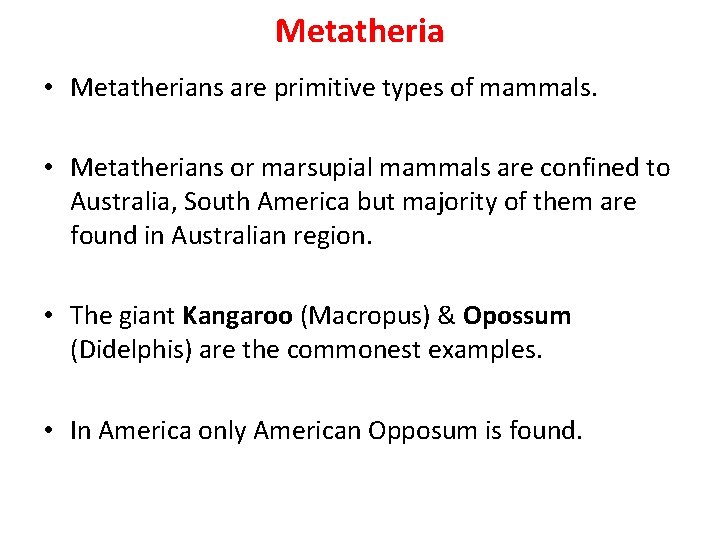 Metatheria • Metatherians are primitive types of mammals. • Metatherians or marsupial mammals are