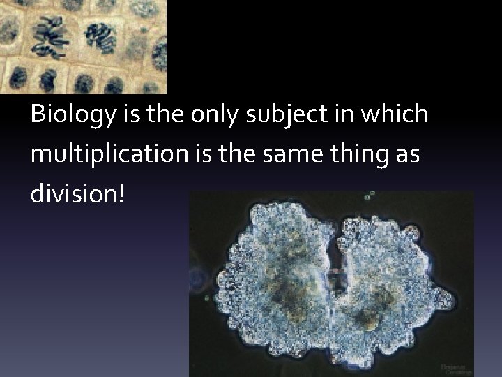 Biology is the only subject in which multiplication is the same thing as division!