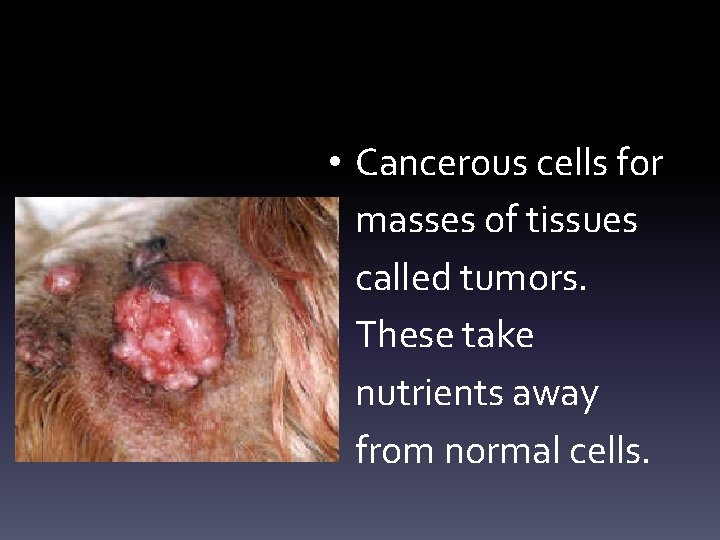  • Cancerous cells for masses of tissues called tumors. These take nutrients away