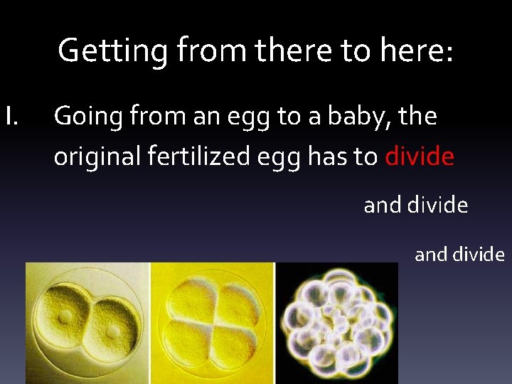 Getting from there to here: I. Going from an egg to a baby, the
