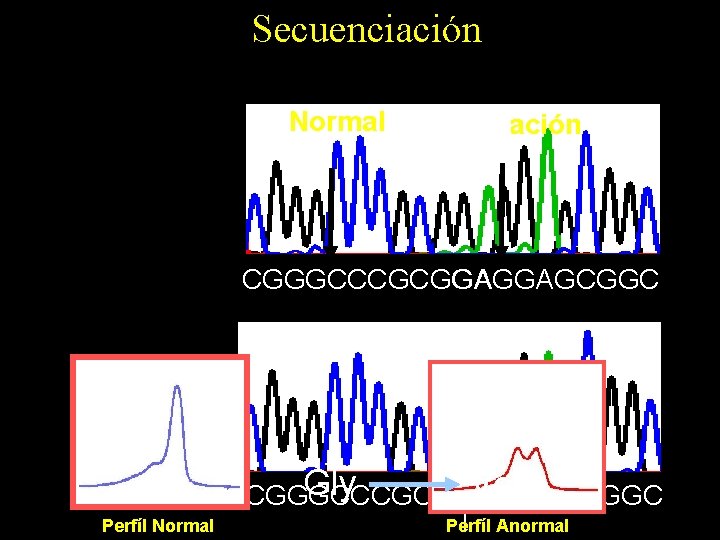 Plataforma de. Diagnóstico Detección Intermedia Genético Secuenciación Cromatografía Líquida Desnaturalizante de Alto Rendimiento Gen