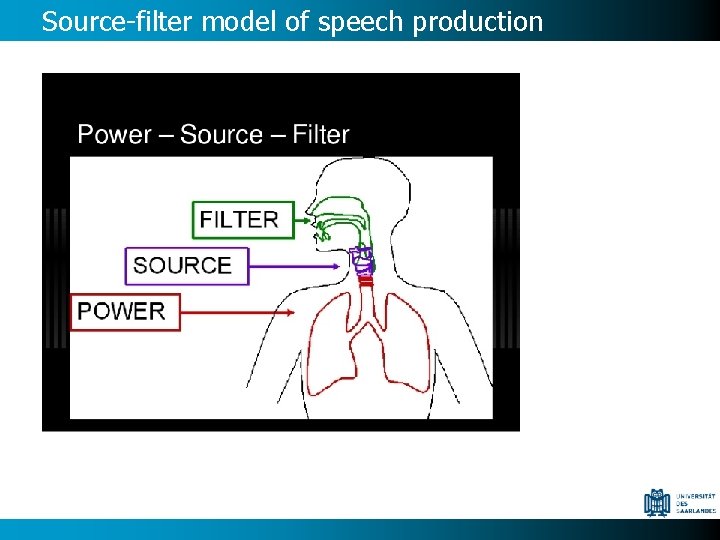 Source-filter model of speech production 