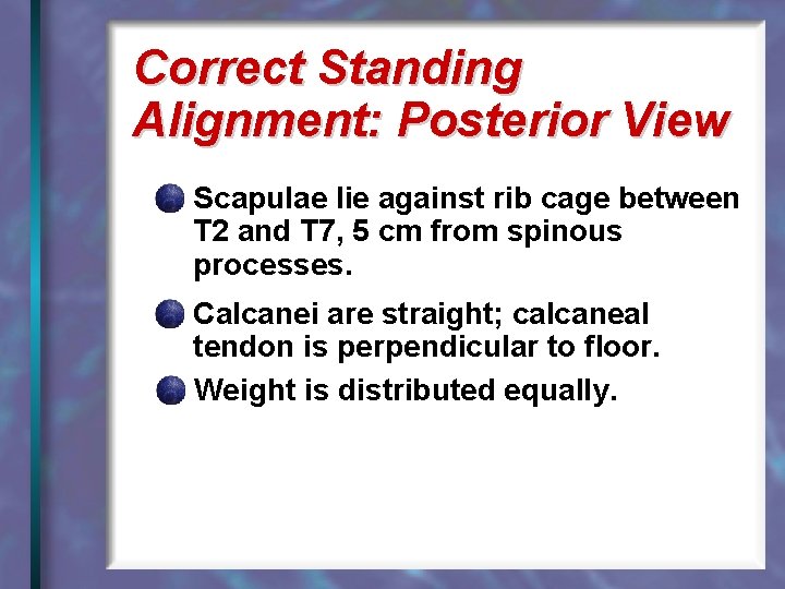 Correct Standing Alignment: Posterior View Scapulae lie against rib cage between T 2 and