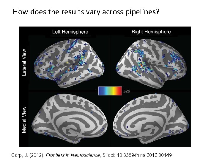How does the results vary across pipelines? Carp, J. (2012). Frontiers in Neuroscience, 6.