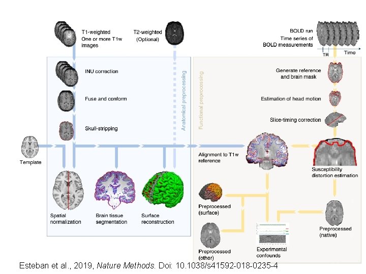 Esteban et al. , 2019, Nature Methods. Doi: 10. 1038/s 41592 -018 -0235 -4
