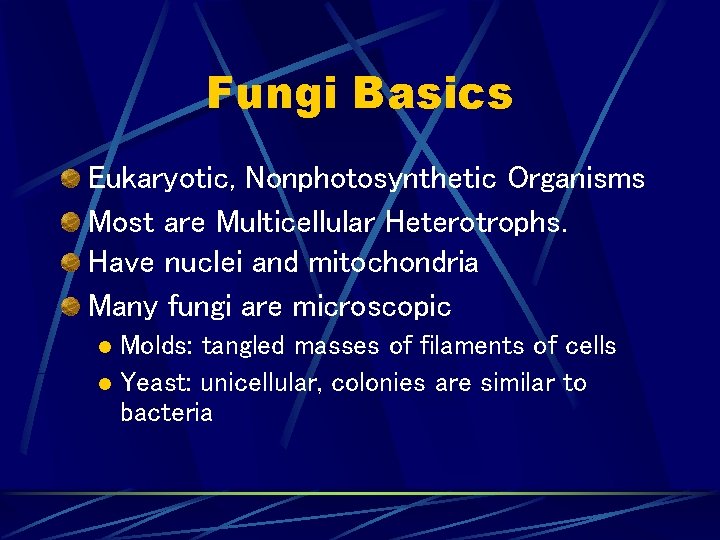 Fungi Fungi Basics Eukaryotic Nonphotosynthetic Organisms Most are