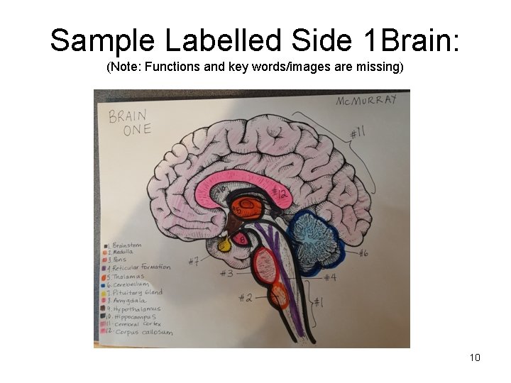 Sample Labelled Side 1 Brain: (Note: Functions and key words/images are missing) 10 