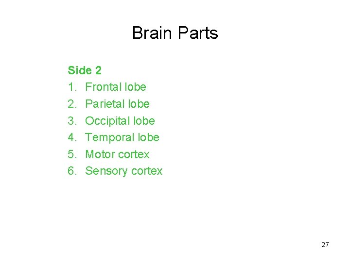 Brain Parts Side 2 1. Frontal lobe 2. Parietal lobe 3. Occipital lobe 4.
