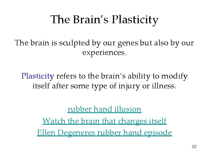 The Brain’s Plasticity The brain is sculpted by our genes but also by our