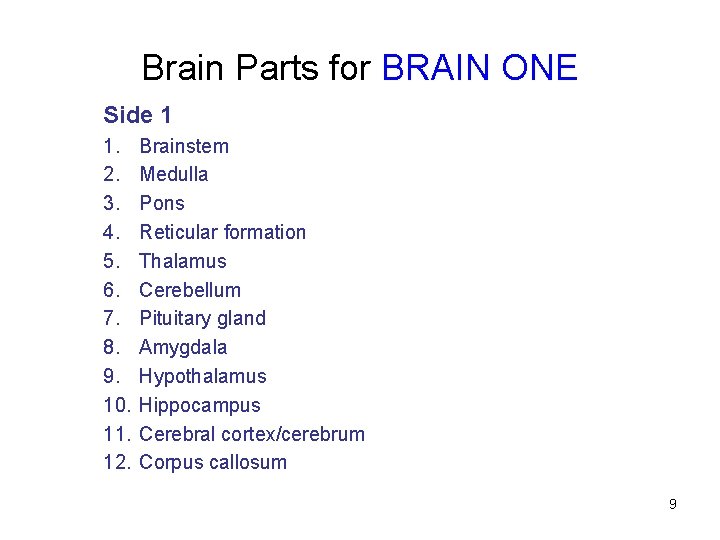 Brain Parts for BRAIN ONE Side 1 1. 2. 3. 4. 5. 6. 7.