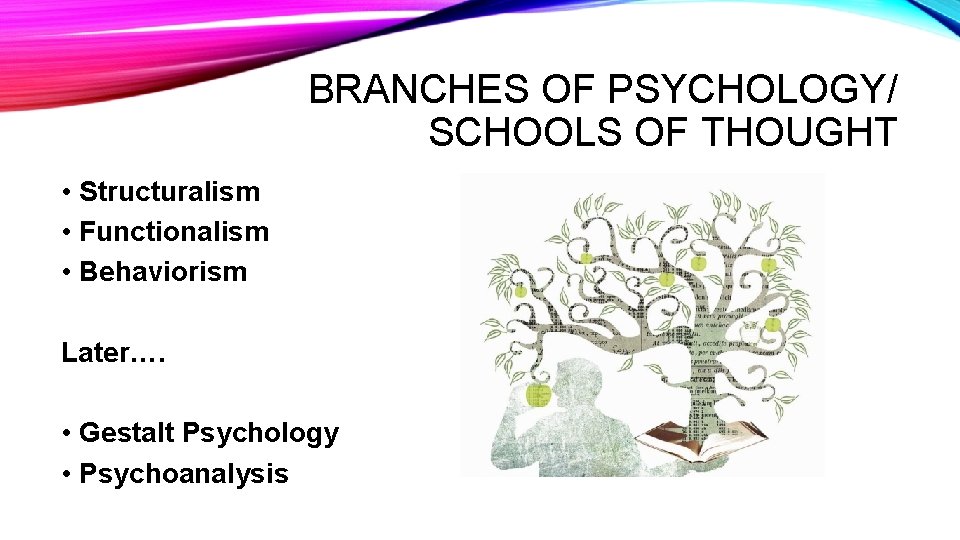 BRANCHES OF PSYCHOLOGY/ SCHOOLS OF THOUGHT • Structuralism • Functionalism • Behaviorism Later…. •