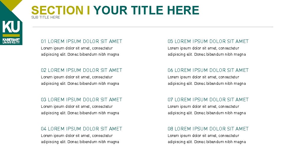SECTION I YOUR TITLE HERE SUB TITLE HERE 01 LOREM IPSUM DOLOR SIT AMET