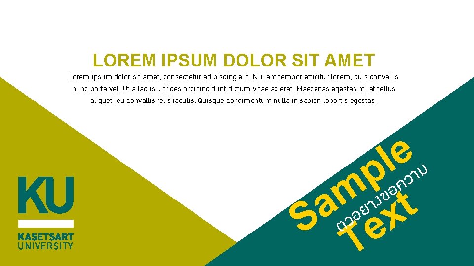 LOREM IPSUM DOLOR SIT AMET Lorem ipsum dolor sit amet, consectetur adipiscing elit. Nullam