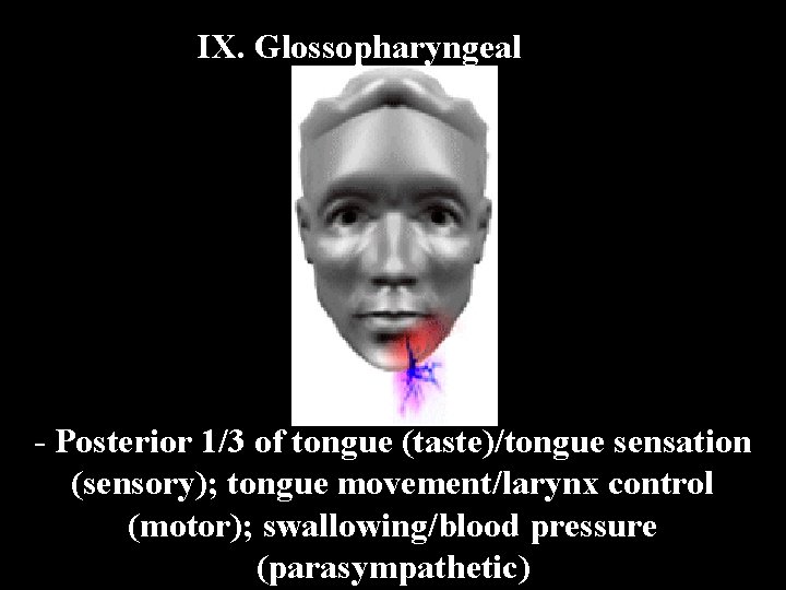 IX. Glossopharyngeal - Posterior 1/3 of tongue (taste)/tongue sensation (sensory); tongue movement/larynx control (motor);