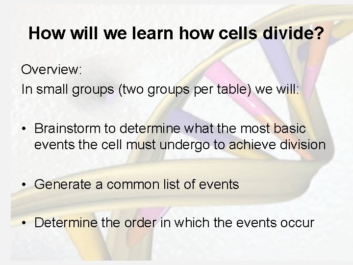 How will we learn how cells divide? Overview: In small groups (two groups per
