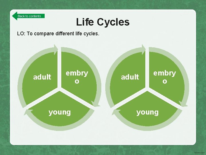 Back to contents Life Cycles LO: To compare different life cycles. adult embry o
