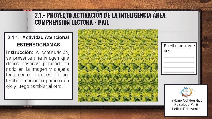 2. 1. - PROYECTO ACTIVACIÓN DE LA INTELIGENCIA ÁREA COMPRENSIÓN LECTORA - PAIL 2.