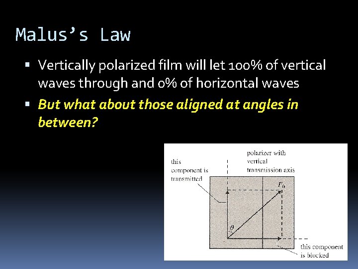 Malus’s Law Vertically polarized film will let 100% of vertical waves through and 0%