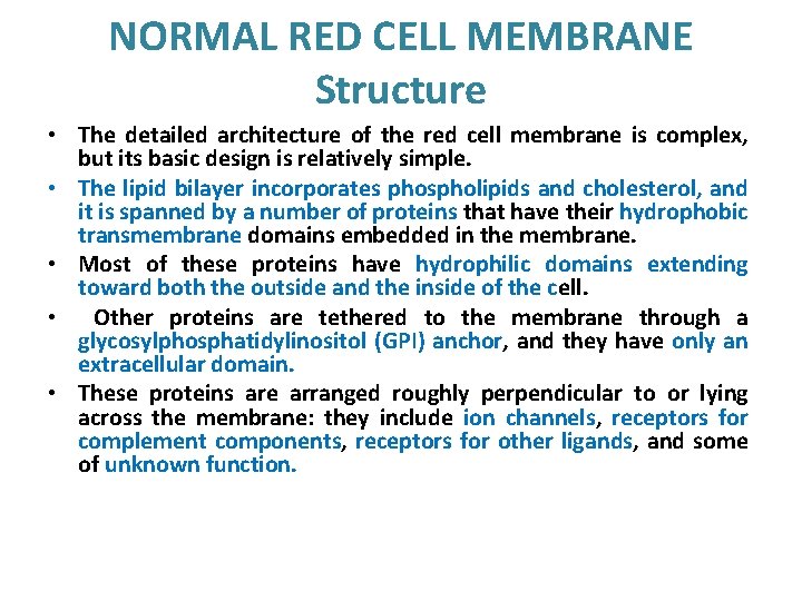 NORMAL RED CELL MEMBRANE Structure • The detailed architecture of the red cell membrane