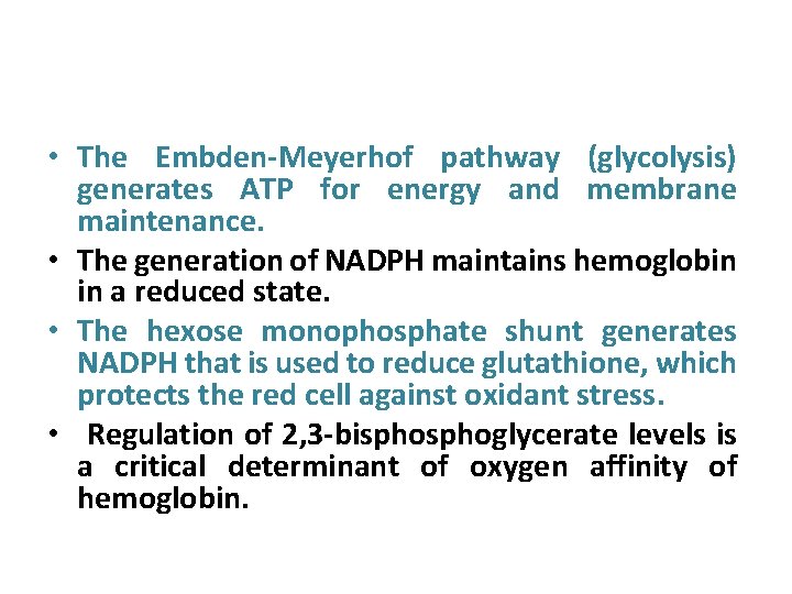  • The Embden-Meyerhof pathway (glycolysis) generates ATP for energy and membrane maintenance. •