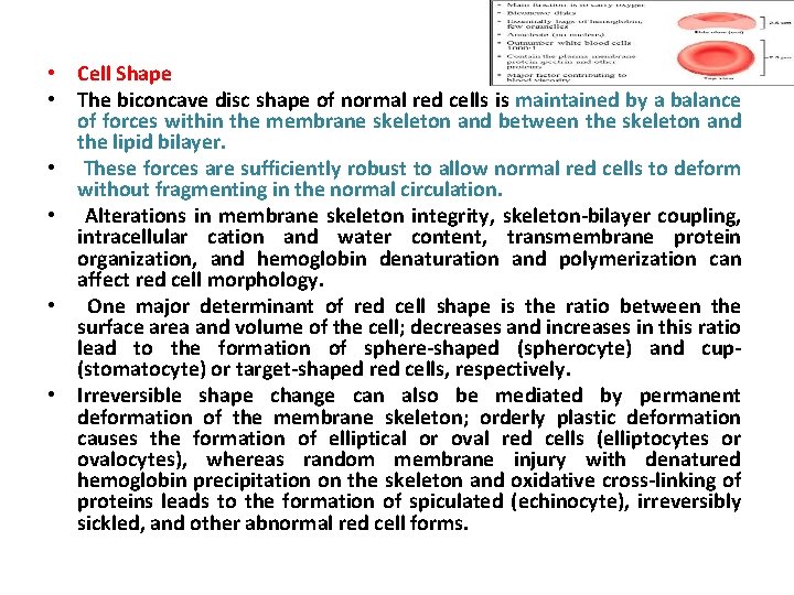  • Cell Shape • The biconcave disc shape of normal red cells is