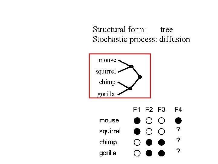 Structural form: tree Stochastic process: diffusion mouse squirrel chimp gorilla 